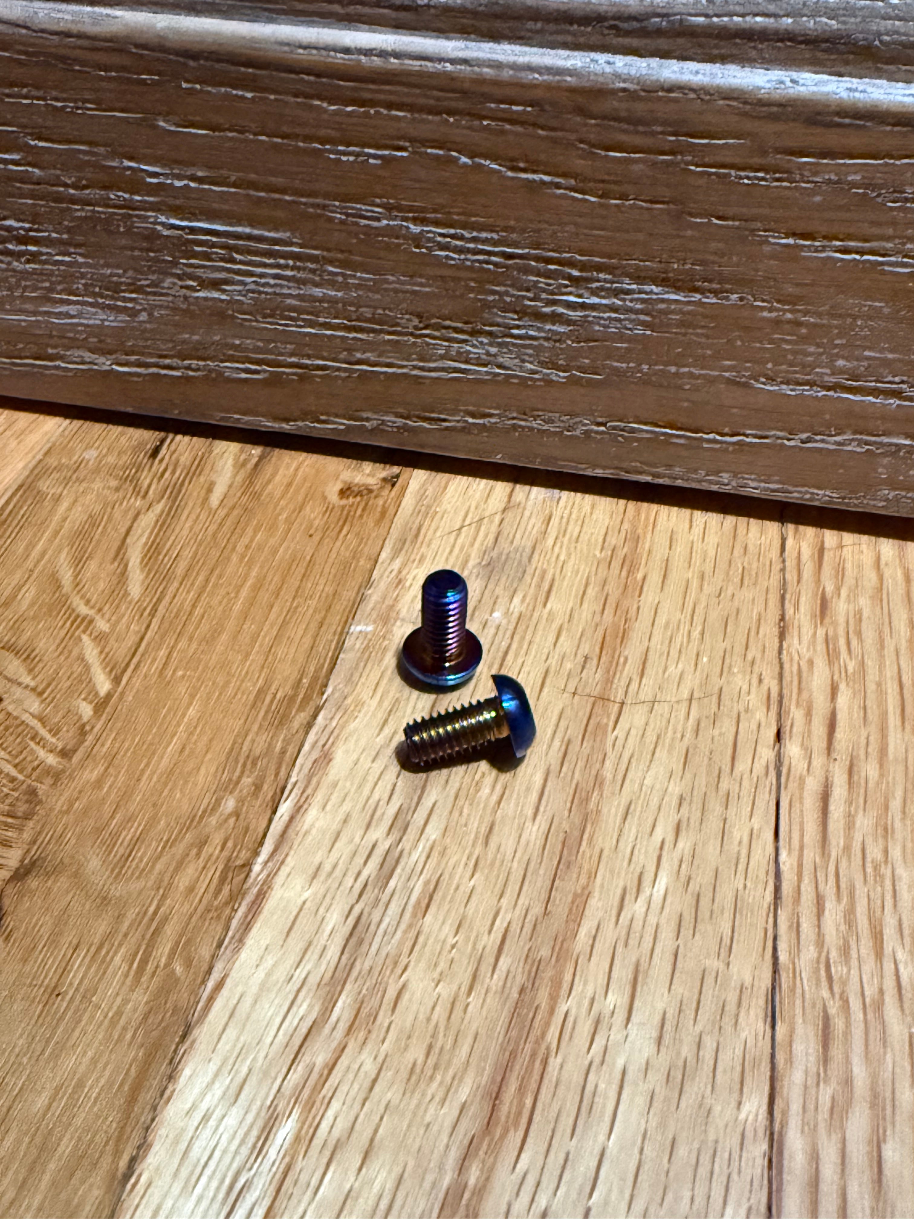 Motor Cover/Ignition Cover/ Ultra Screen Titanium bolts (2 Bolts)